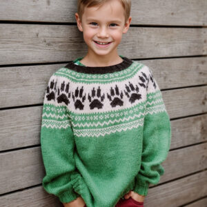 The paw sweater for children