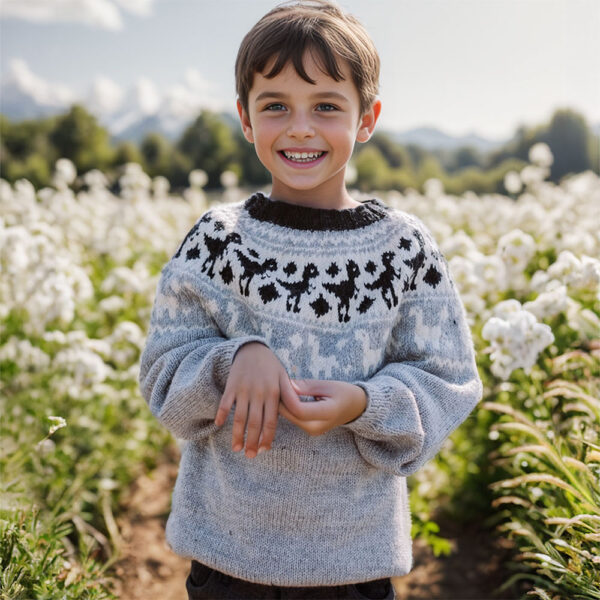 The dinosaur sweater for kids - Image 3