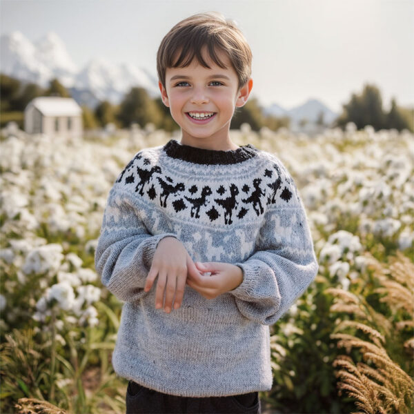 The dinosaur sweater for kids - Image 4