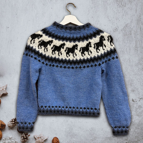 Horse sweater for kids
